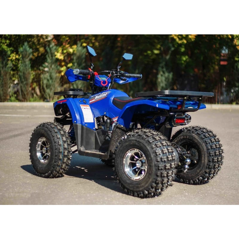 Квадроцикл AVANTIS Hunter 8 New Premium 250265