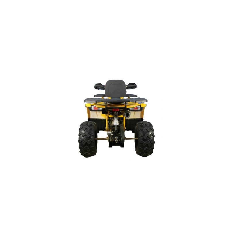 Квадроцикл AVANTIS Hunter 200 Big Premium (Баланс. вал) 2558636