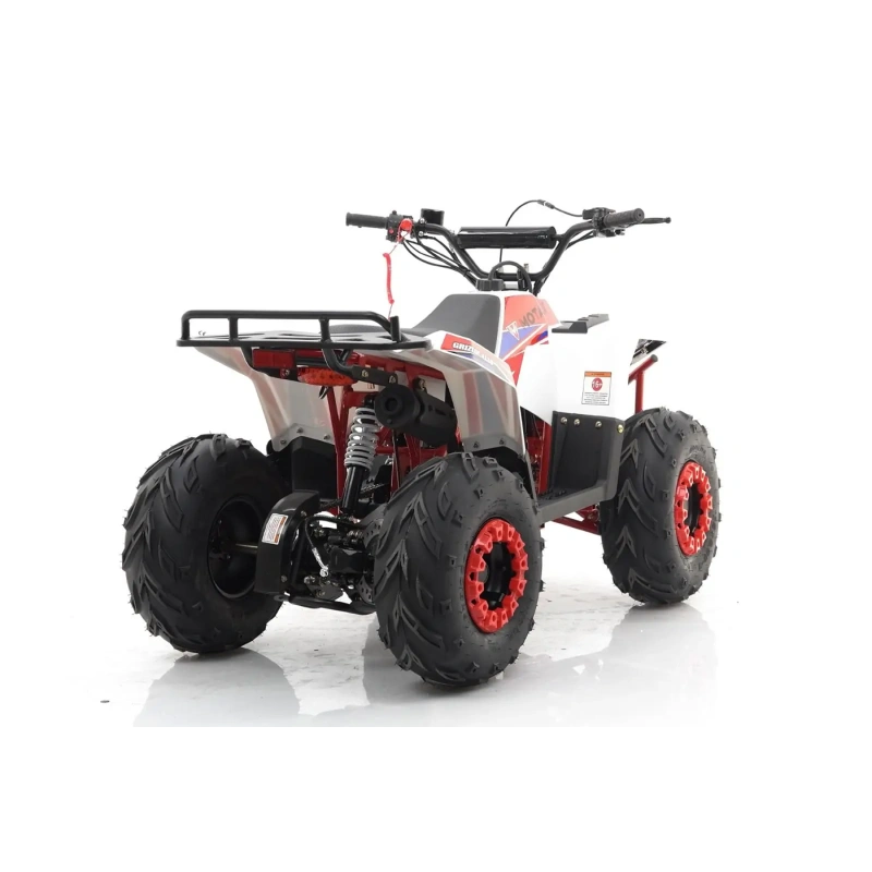 Квадроцикл MOTAX Grizlik A110 2587429