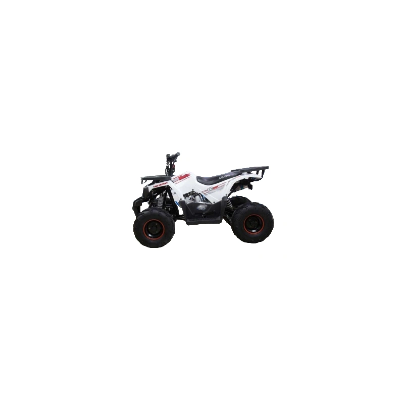 Квадроцикл AVANTIS Hunter 7 New Lux 2018 2558641