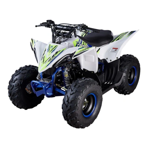 Квадроцикл MIKILON Rapide 110 2557912
