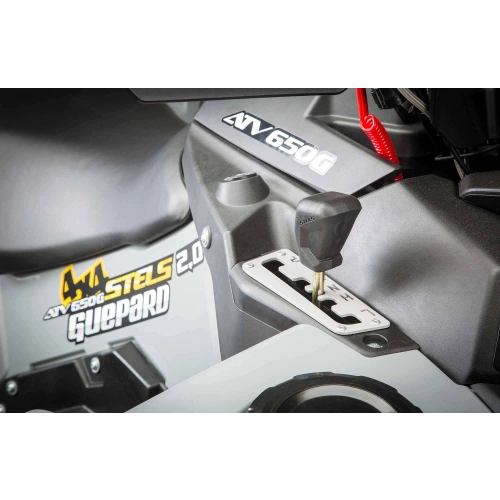 Квадроцикл STELS ATV Guepard 650 TЕ (Trophy) 2.0 (ПСМ) 2587851