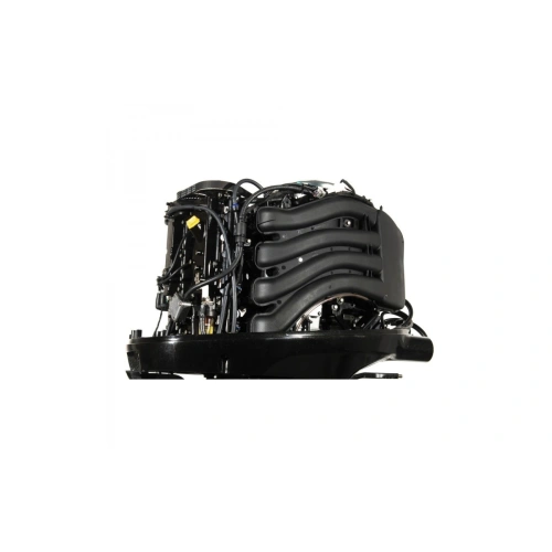 4х-тактный лодочный мотор GOLFSTREAM F100FEL-T EFI 2577540