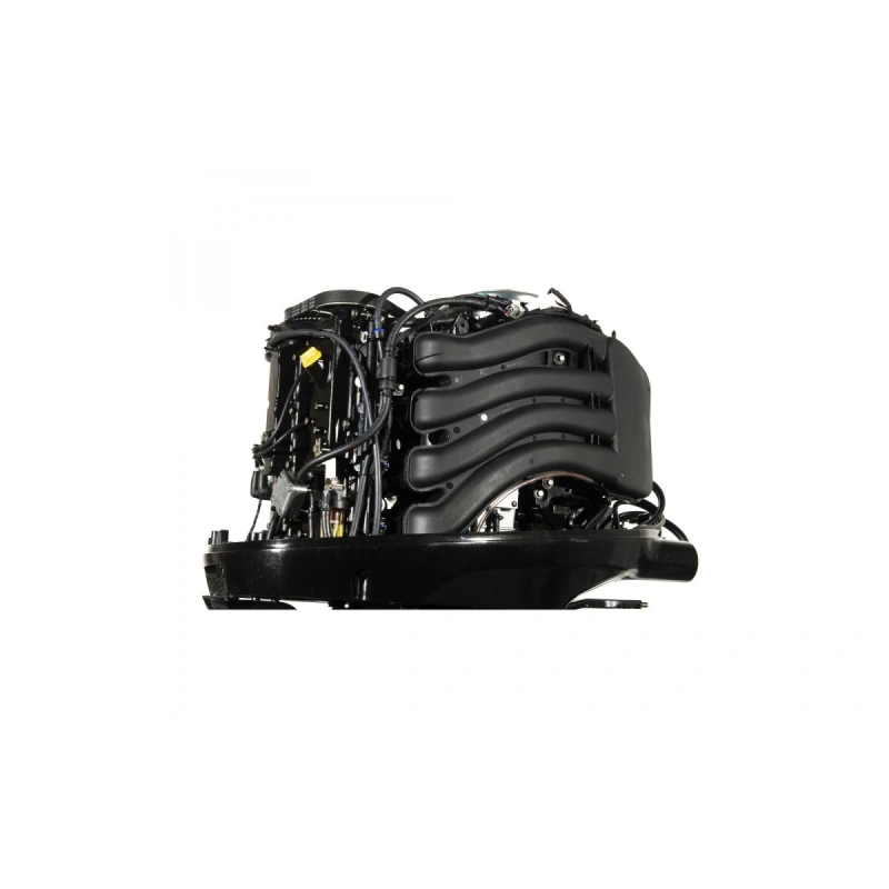 4х-тактный лодочный мотор GOLFSTREAM F100FEL-T EFI 2577540