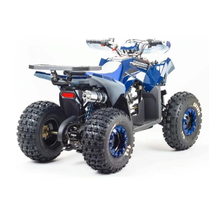 Квадроцикл MOTOLAND 125 Coyote (2021 Г.) 248052
