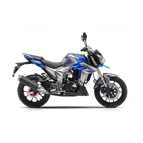 Мотоцикл REGULMOTO T-Leopard 300 2576296