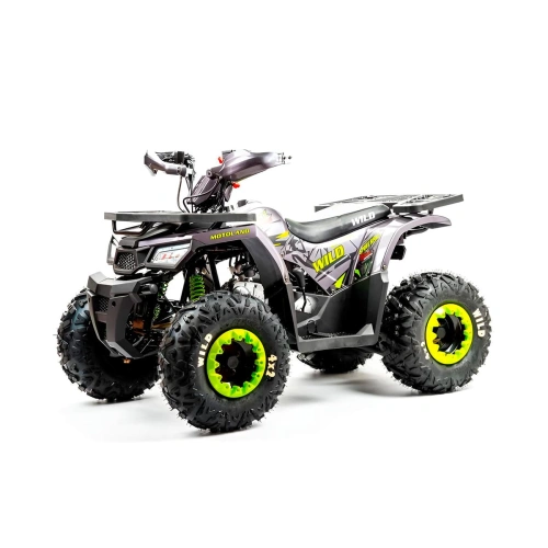 Квадроцикл MOTOLAND Wild Basic 125 2591542