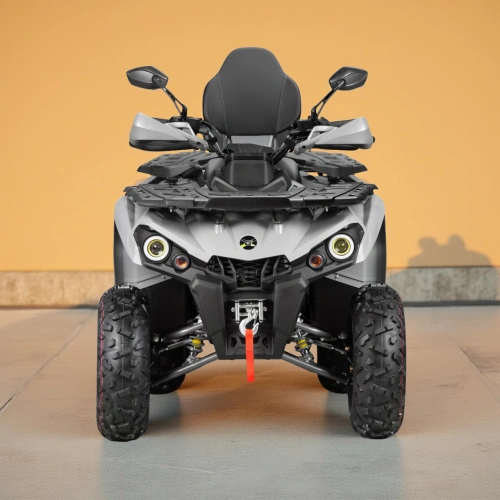 Квадроцикл GLADIATOR F200 Long 2591929