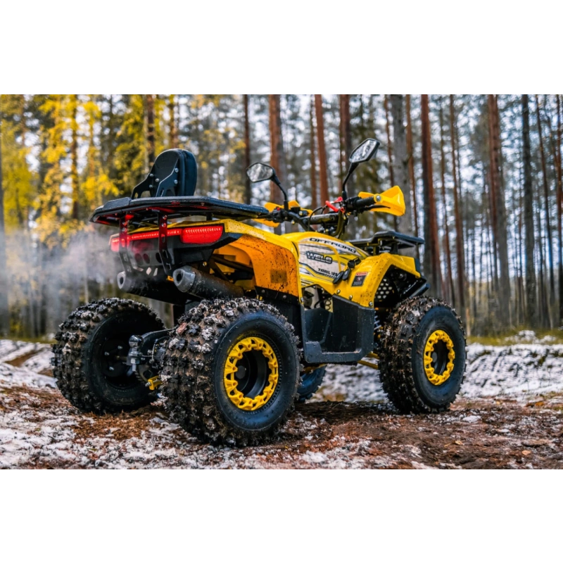 Квадроцикл WELS Thunder Trail 125 Pro