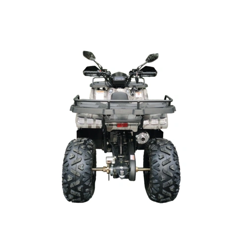 Квадроцикл MOTAX ATV Grizlik T200 Lux 2587278
