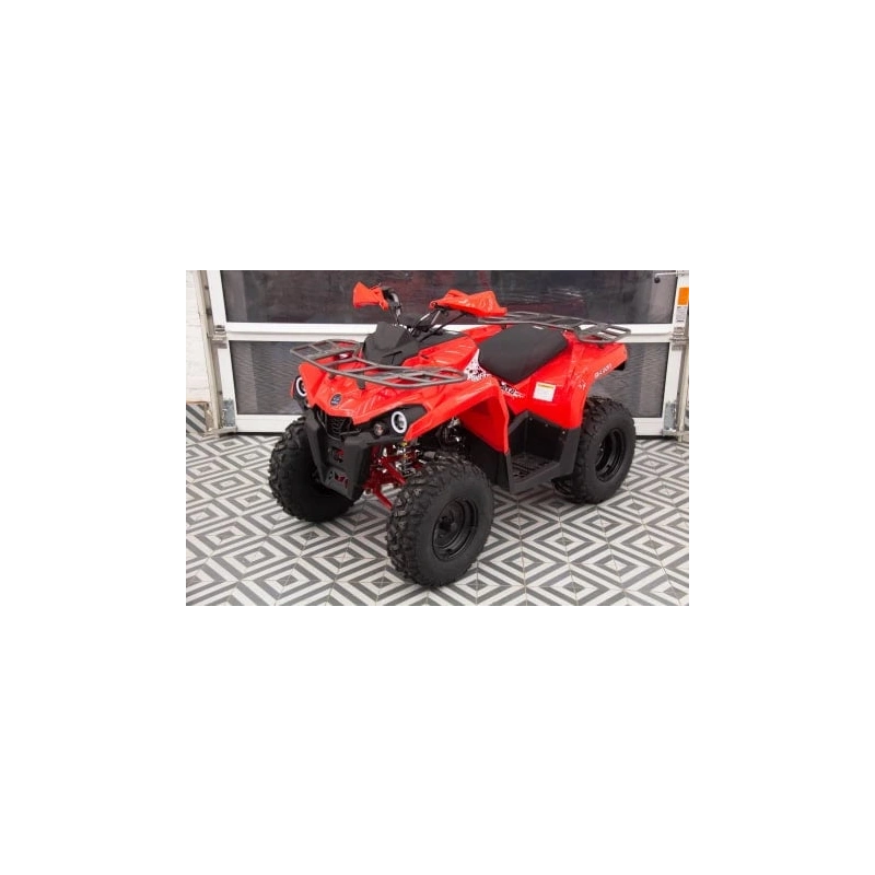 Квадроцикл MIKILON Hammer 200L Pro