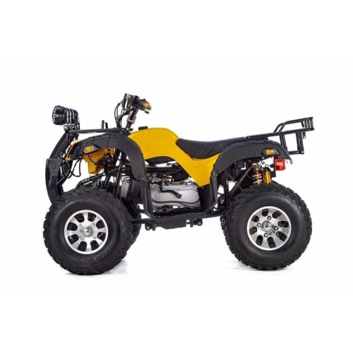 Квадроцикл RAPTOR Max Pro 250 (жёлтый/чёрный) (2024) 248056