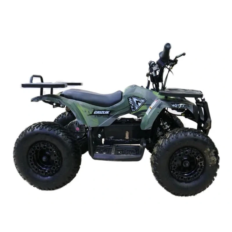 Электроквадроцикл MOTAX Grizlik X16 New E1000 2558711