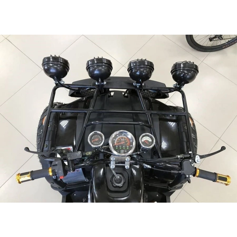Квадроцикл RAPTOR Max Pro 250 (жёлтый/чёрный) (2024) 248056
