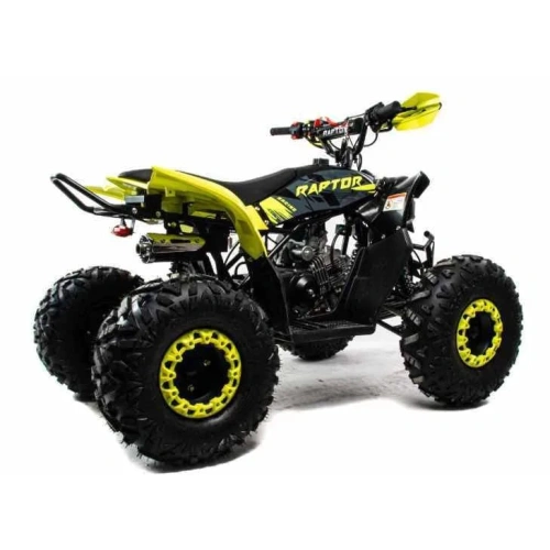 Квадроцикл MOTOLAND 125 Raptor 2591794