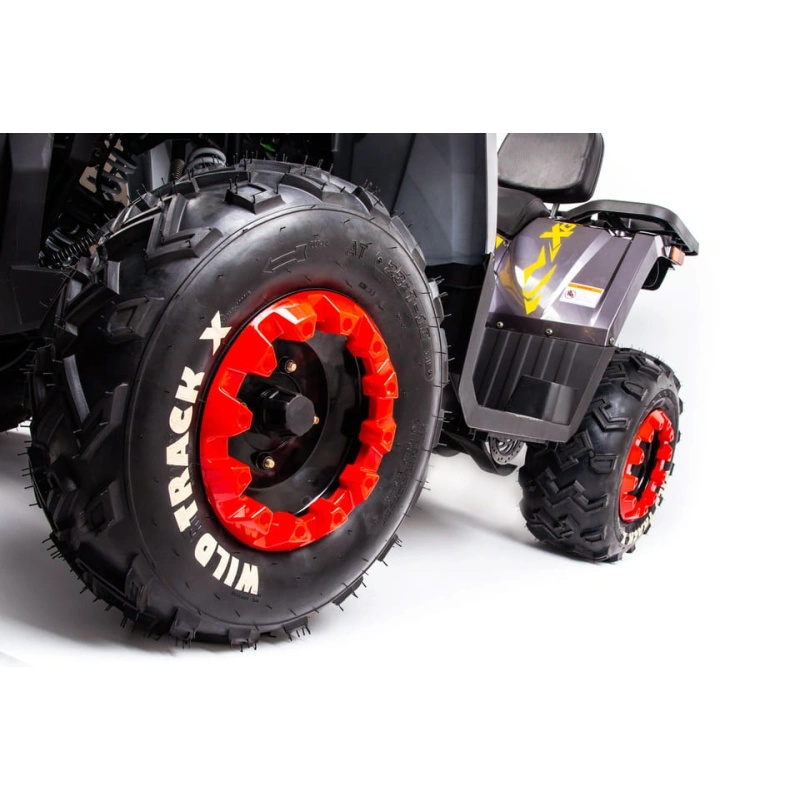Квадроцикл MOTOLAND 200 Wild Track X Pro (2022) 248139