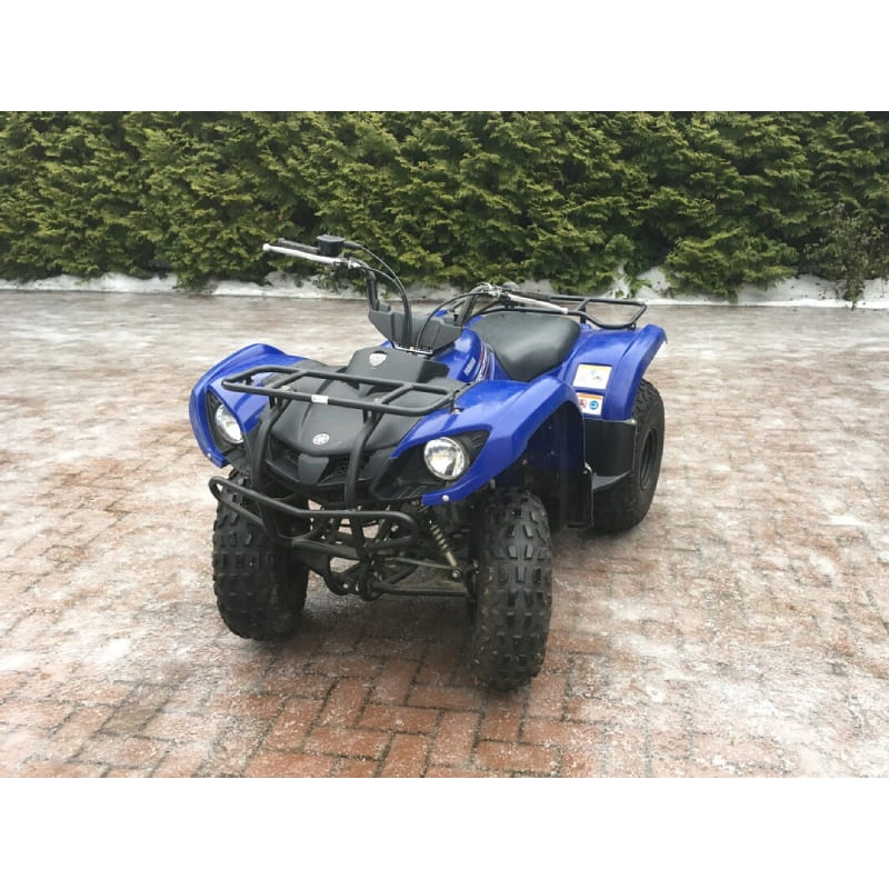 Квадроцикл GRIZZLY 125 2556394
