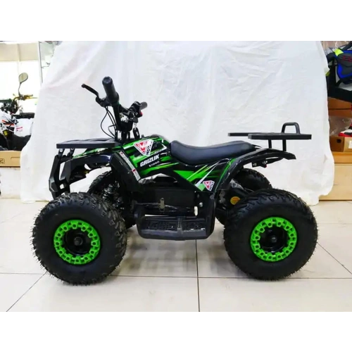 Электроквадроцикл MOTAX Grizlik X16 New E1000 2558711