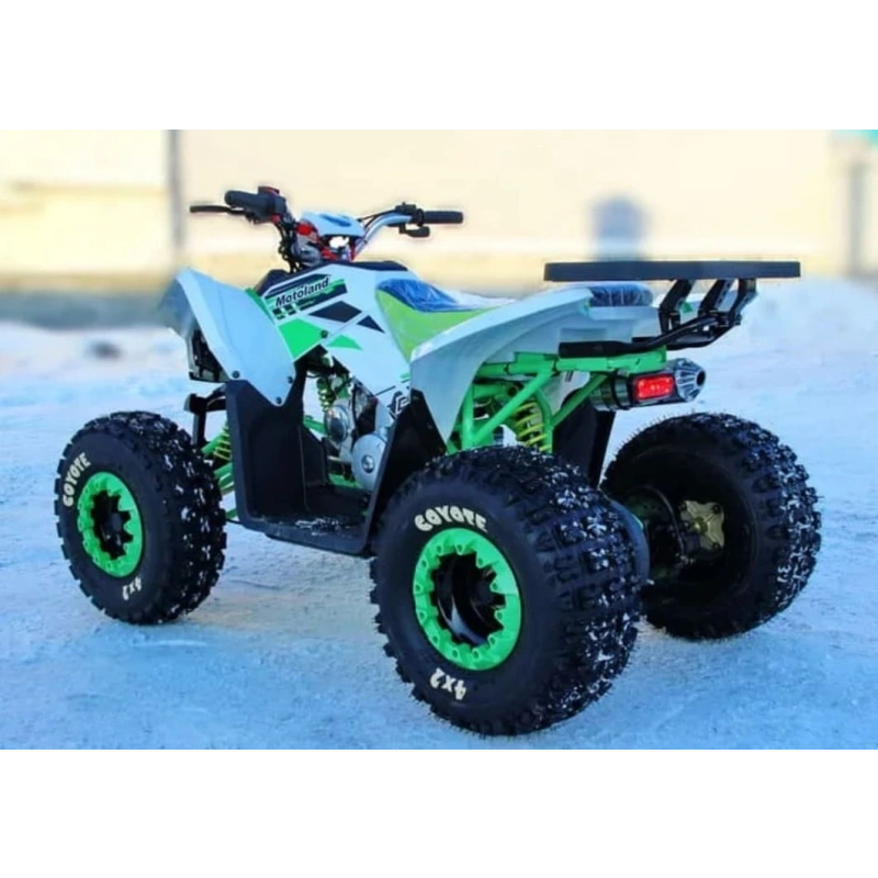 Квадроцикл MOTOLAND 125 Coyote (2021 Г.) 248052
