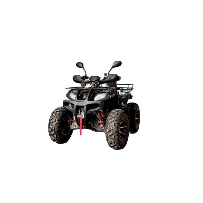 Квадроцикл GRIZZLY 250