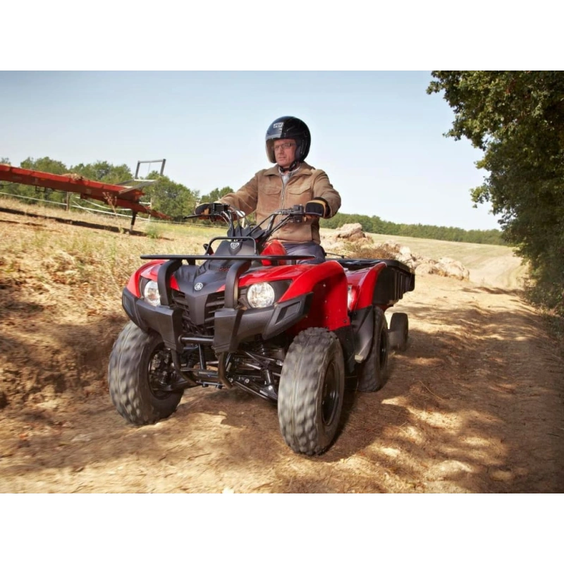 Квадроцикл YAMAHA Segway 300 2556753