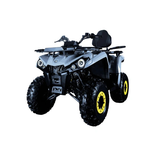 Квадроцикл AVANTIS Forester Long 200 Basic