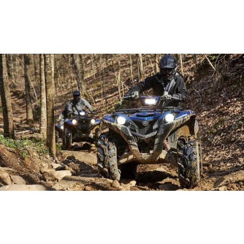 Квадроцикл YAMAHA Grizzly 700 EPS STD (ПСМ) 2560520