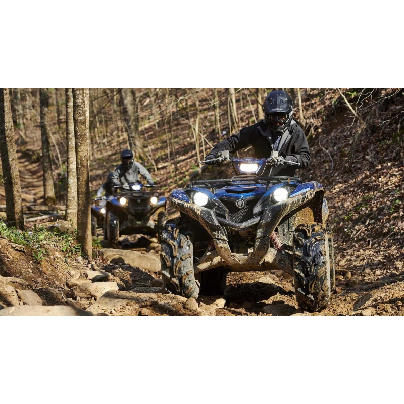 Квадроцикл YAMAHA Grizzly 700 EPS STD (ПСМ) 2560520