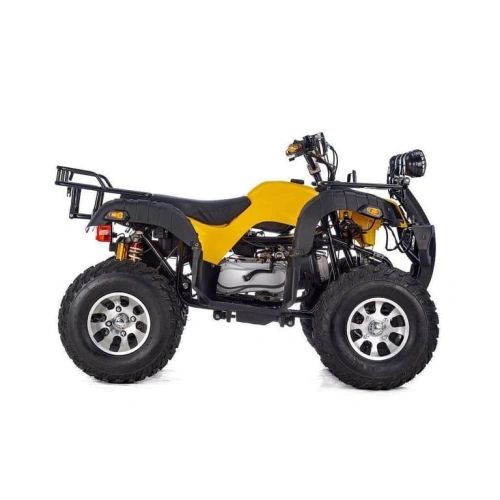 Квадроцикл RAPTOR Max Pro 250 (жёлтый/чёрный) (2024) 248056