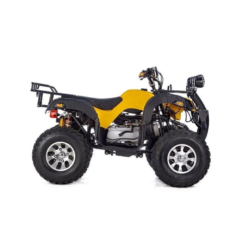 Квадроцикл RAPTOR Max Pro 250 (жёлтый/чёрный) (2024) 248056