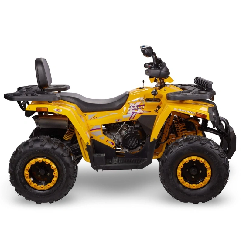 Квадроцикл AVANTIS H200 New Big Lux 2593844