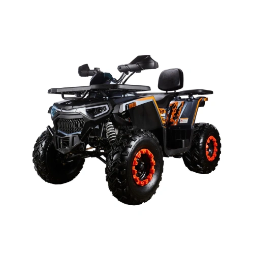Квадроцикл AVANTIS H250 Big New Basic 2591697