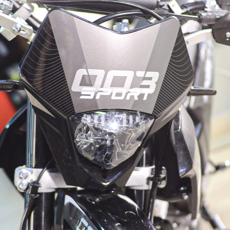 Мотоцикл кроссовый эндуро REGULMOTO Sport-003 PR 300 2588561