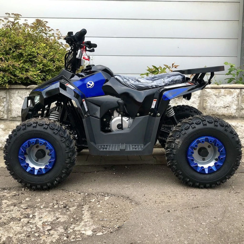 Квадроцикл YACOTA Raposa 248078