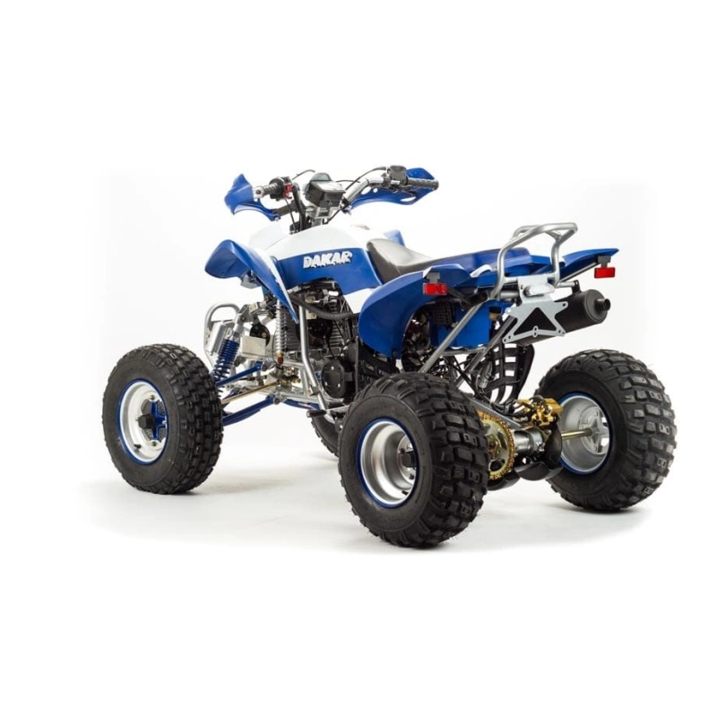 Квадроцикл MOTOLAND 250 Dakar 248053