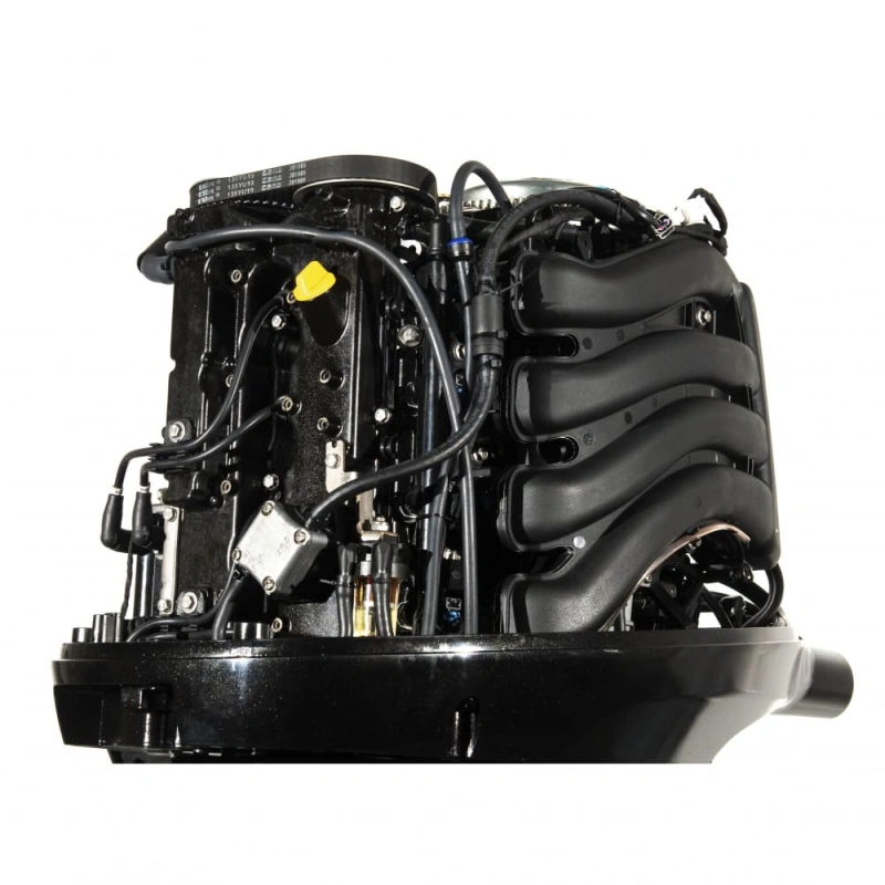 4х-тактный лодочный мотор PARSUN F115FEX-T EFI 2587502