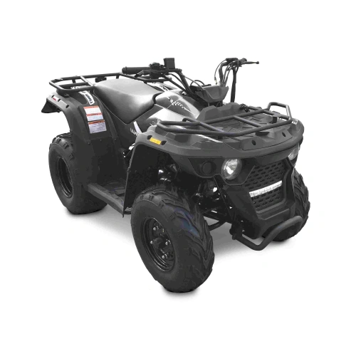 Квадроцикл LINHAI-YAMAHA M150 248042
