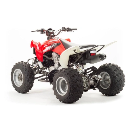 Квадроцикл MOTOLAND 125S (2020 Г.) 248146