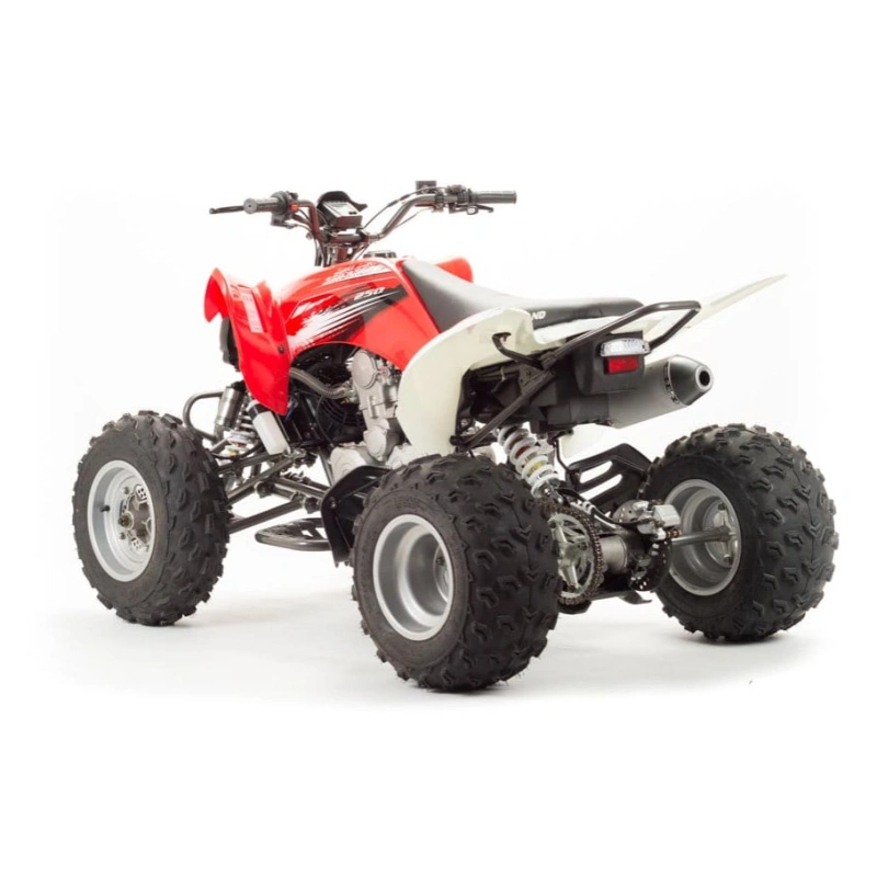 Квадроцикл MOTOLAND 125S (2020 Г.) 248146