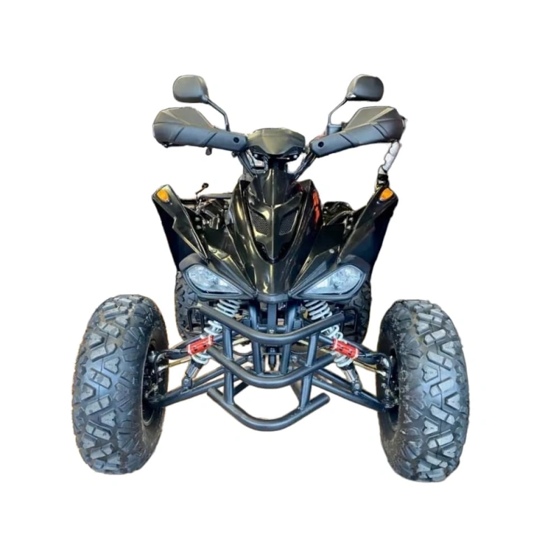 Квадроцикл MOTORHEAD RockIt 200