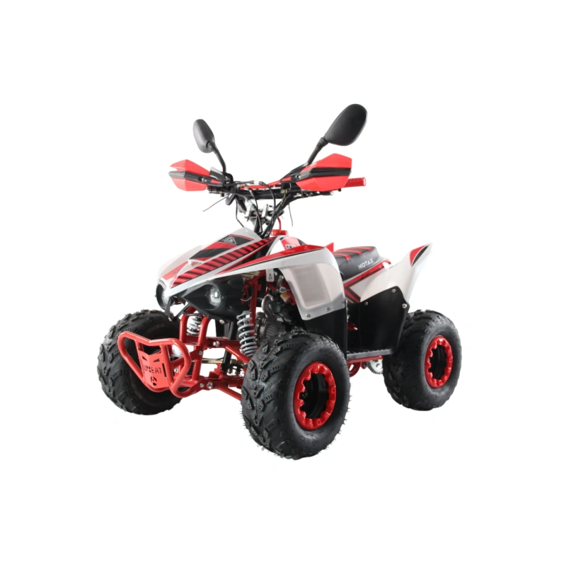 Квадроцикл MOTAX ATV Mikro 110cc 2587427