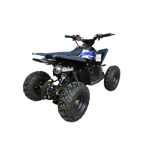Квадроцикл MOTAX Gekkon 90cc 2587426