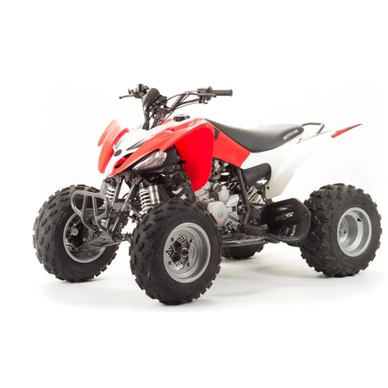 Квадроцикл MOTOLAND 125S (2020 Г.)