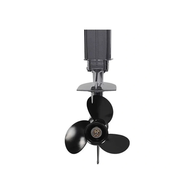 2х-тактный лодочный мотор ALLFA CG T30 FWS 2577268