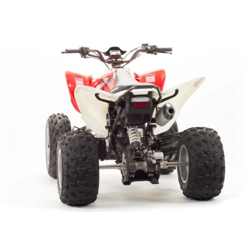 Квадроцикл MOTOLAND 125S (2020 Г.)