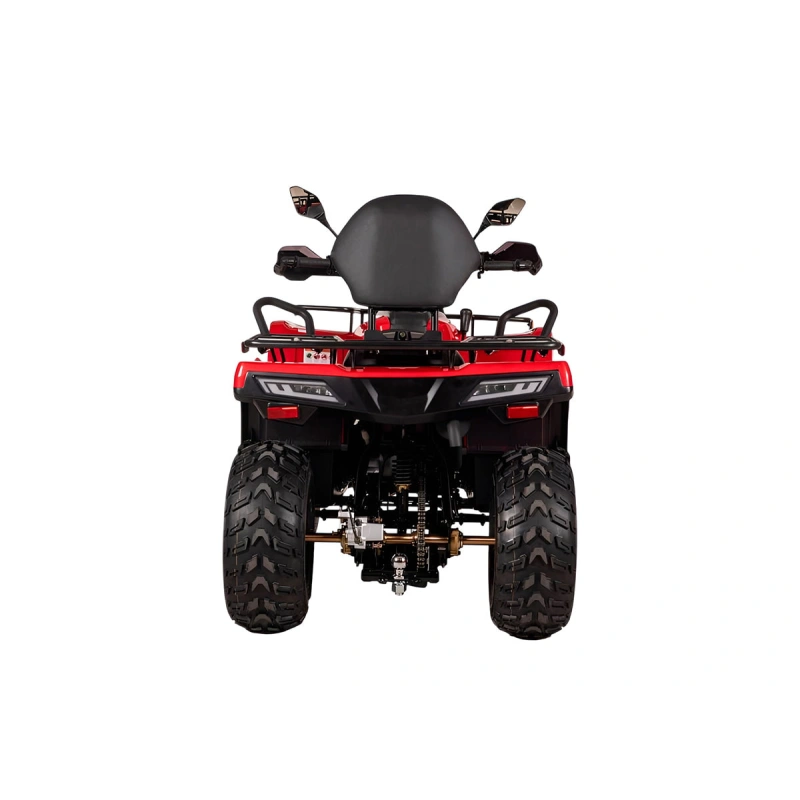 Квадроцикл BIZON YK200 Basic Carb