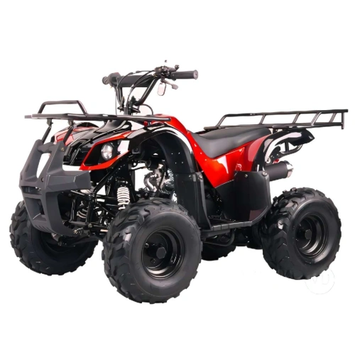 Квадроцикл BISON Spider 110 red 2593889