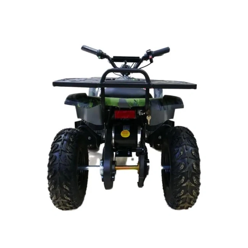 Электроквадроцикл MOTAX Grizlik X16 New E1000 2558711