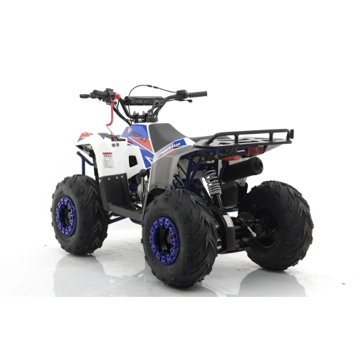 Квадроцикл MOTAX Grizlik A110 2587429
