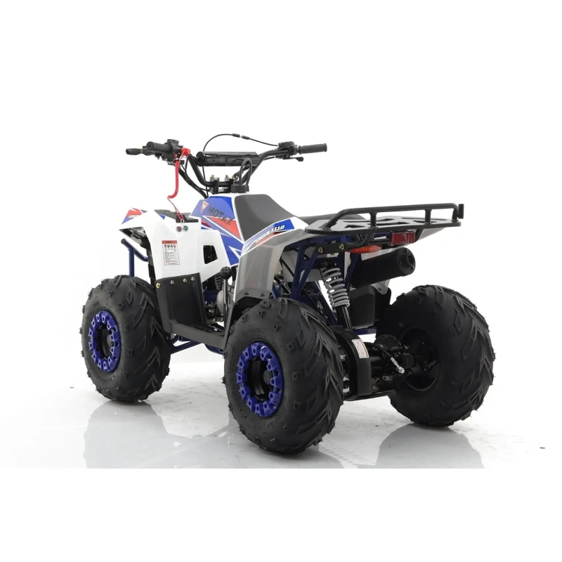 Квадроцикл MOTAX Grizlik A110 2587429